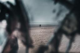 I Complained About My Life While Reading About a Man Who Was Thrown Into a Well